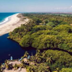 Huatulco: Ecotour with Crocodiles & migrating birds - Authentic Experiences and Real Traveler Feedback