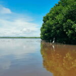 Huatulco: Laguna de Chacahua Exploration - Visiting the Chacahua Community and Ecological Center