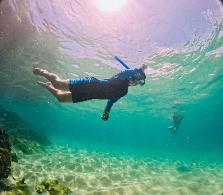 Huatulco: Marine mammal sighting and snorkeling - Who Should Consider This Tour?