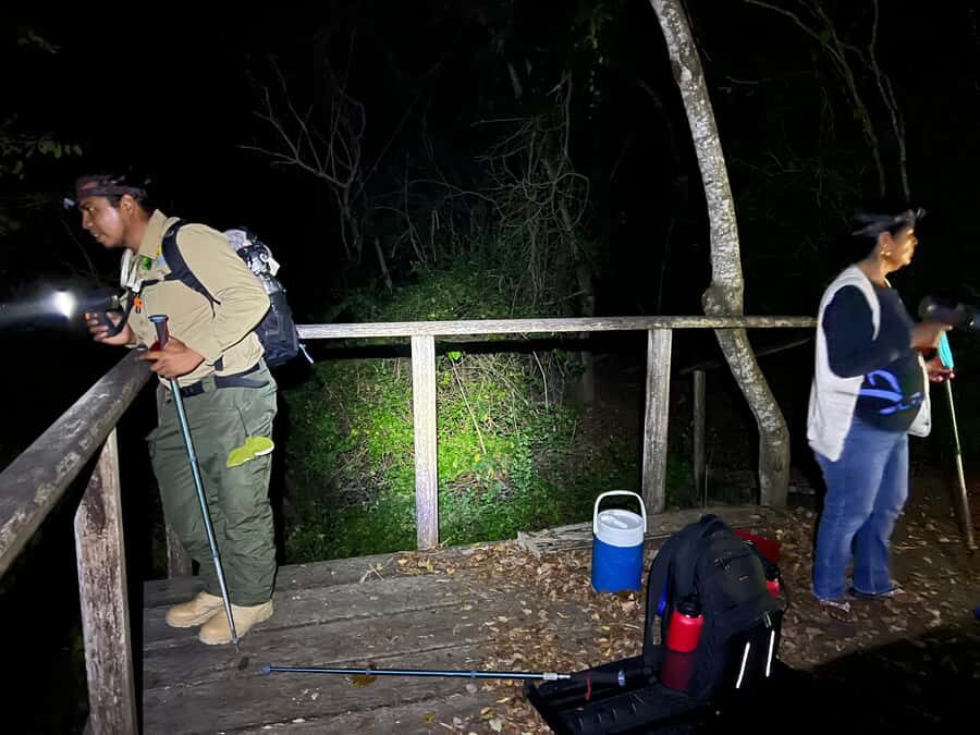 Huatulco: Nighttime sea turtle monitoring guided by a biologist - From Jungle to Beach: A Night in Nature