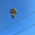 Huatulco: Oaxaca Sightseeing Tour - Practical Considerations: What’s Included & What’s Not