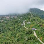 Huatulco: Pluma Hidalgo Coffee Origin and Essence. - Exploring Pluma Hidalgo and Coffee Culture