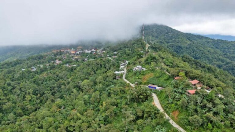 Huatulco: Pluma Hidalgo Coffee Origin and Essence. - Exploring Pluma Hidalgo and Coffee Culture