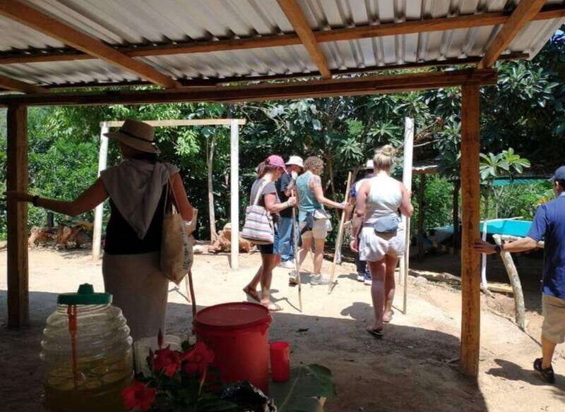 Huatulco: Private Coffee and Fruit Ranch Experience - What Do Travelers Say?