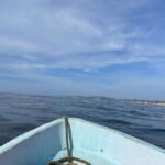 Huatulco: Private Tour Seven Bays HT - Key Points