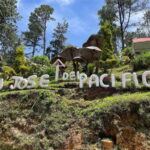 Huatulco: San Jose del Pacifico Day Trip - What to Expect