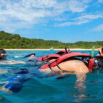 Huatulco: Spirit of the River and Snorkeling Adventure - What Travelers Say About This Tour