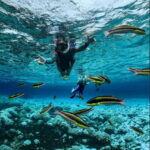 Huatulco: Tour of the Bays by Boat - Scenic Landmarks and Natural Wonders