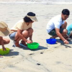 Huatulco:Turtle release,horseback riding and bioluminescence - What’s Included and What’s Not