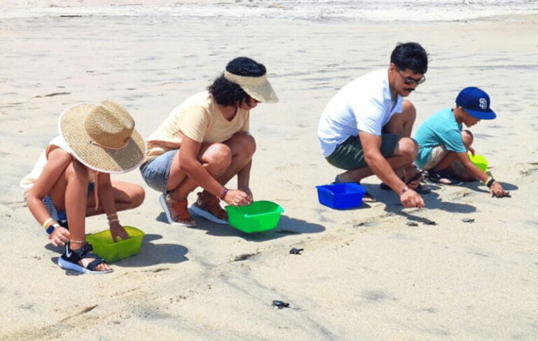 Huatulco:Turtle release,horseback riding and bioluminescence - What’s Included and What’s Not