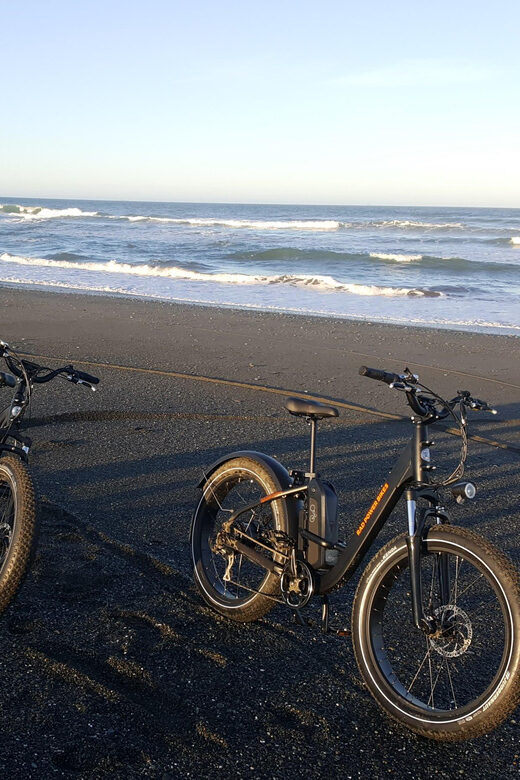 Humboldt: Electric Bike Rentals (4-Hour or Full Day options) - Who Should Consider This Rental?
