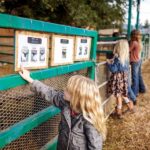 Hurricane, Utah: Guided Farm Tour with Animal Feeding - Why This Experience Matters