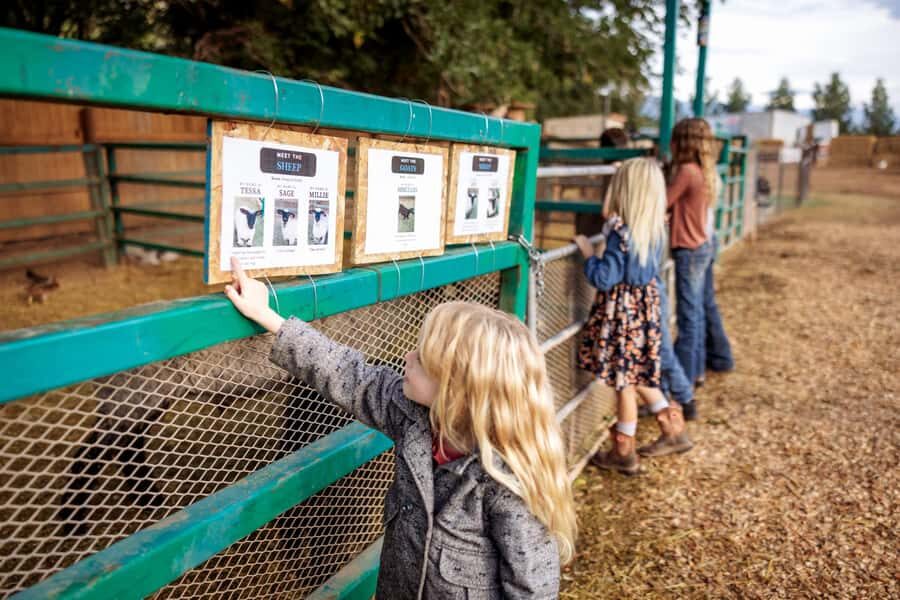 Hurricane, Utah: Guided Farm Tour with Animal Feeding - Why This Experience Matters