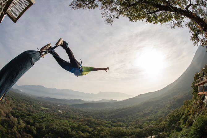 IBO Bungee en Cola de Caballo - What Reviewers Are Saying