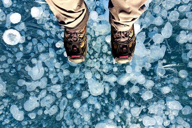 Ice Bubble Adventure on Abraham Lake - What to Expect From the Tour