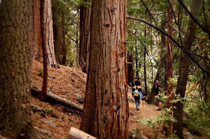 Idyllwild Day Tour - Practical Details