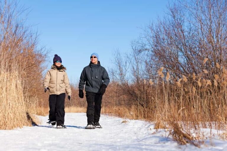 Îles-de-Boucherville: Park Entry w/ Fat-bike & Snowshoeing - What to Expect from Your Day
