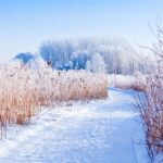 Îles-de-Boucherville: Park Entry with Fat-bike Rental - What Makes This Tour Stand Out?