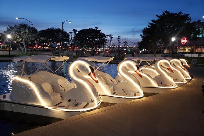 Illuminated Swan Boat Night Ride on Rainbow Lagoon in Long Beach - The Feedback: What Travelers Say