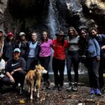 Immerse in the Nature: Deep Connection through Forest Bathing - Who Should Consider This Tour?