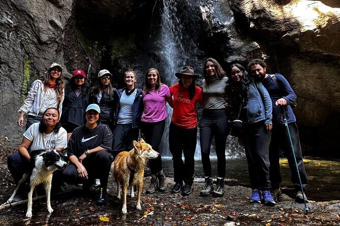 Immerse in the Nature: Deep Connection through Forest Bathing - Who Should Consider This Tour?