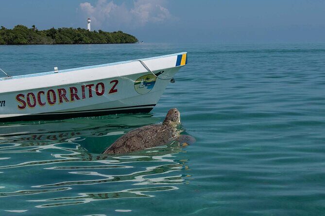 In Contact with Nature, Sian Ka'an Biosphere Boat Ride Tour - Snorkeling in Vibrant Coral Reefs