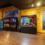 Inbursa Aquarium Entry Ticket with VR Option - FAQ