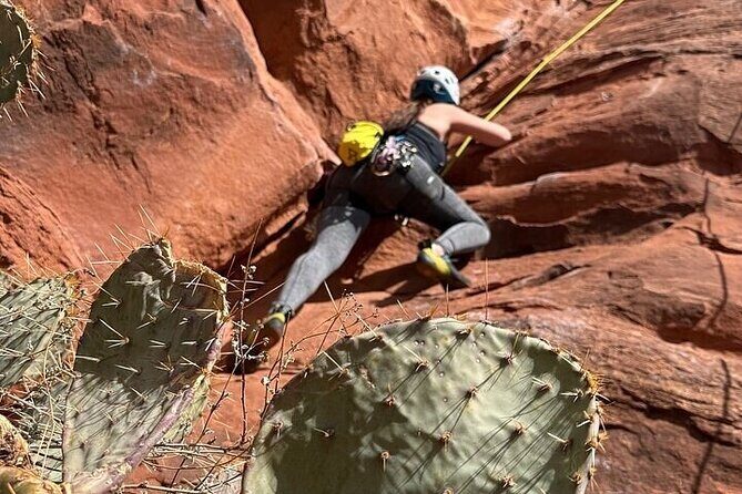 Intro to Rock Climbing in Pipersville, PA - The Bottom Line: Why This Tour Is Worth Considering