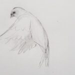 Introduction to Drawing - Value and Pricing: Does It Make Sense?