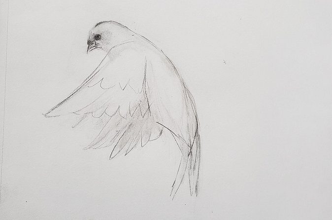 Introduction to Drawing - Value and Pricing: Does It Make Sense?