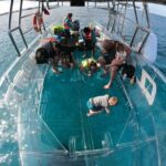 Invisible Boat Snorkeling Tour - The Sum Up: Who Should Consider This Tour?