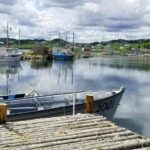 Irish Loop to Ferryland Tour - Who Should Consider This Tour?