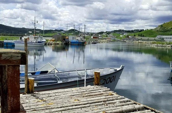 Irish Loop to Ferryland Tour - Who Should Consider This Tour?