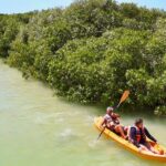 Isla Columpios and Progreso Day Trip - Who Will Love This Tour?