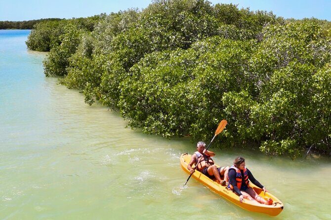 Isla Columpios and Progreso Day Trip - Who Will Love This Tour?