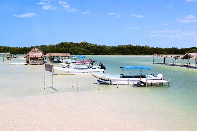 Isla Columpios and Progreso Day Trip - Is This Tour Worth It?