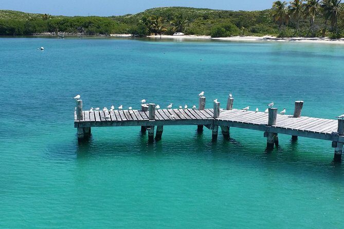 Isla Contoy and Isla Mujeres Tour with Snorkeling from Cancun - Who Is This Tour Best Suited For?