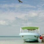 Isla Contoy Private Day Tour, from Cancun - The Cost and Value: Is It Worth It?