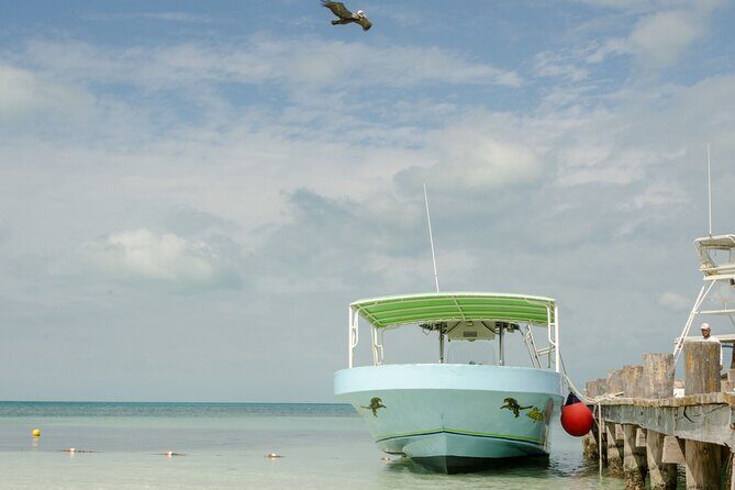 Isla Contoy Private Day Tour, from Cancun - The Cost and Value: Is It Worth It?