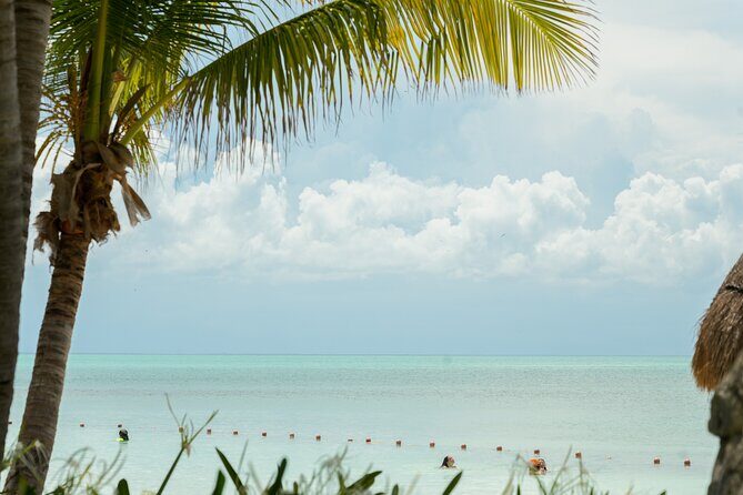 Isla Contoy Snorkeling Experience with Buffet - What We Love About This Tour