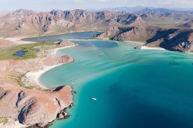 Isla Espiritu Santo Adventure: Explore the Sea of Cortez - Final Thoughts: Who’s This Tour Best For?