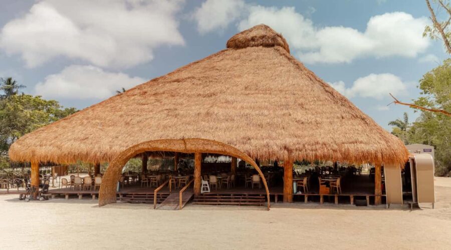 Isla Mia Roots with Tranfer - Final Thoughts