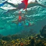 Isla Mujeres All Inclusive from Playa del Carmen - Practical Tips for Guests