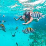Isla Mujeres and Cancun Snorkeling and Fishing Combo - Is the Tour Worth the Price?