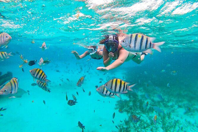 Isla Mujeres and Cancun Snorkeling and Fishing Combo - Is the Tour Worth the Price?