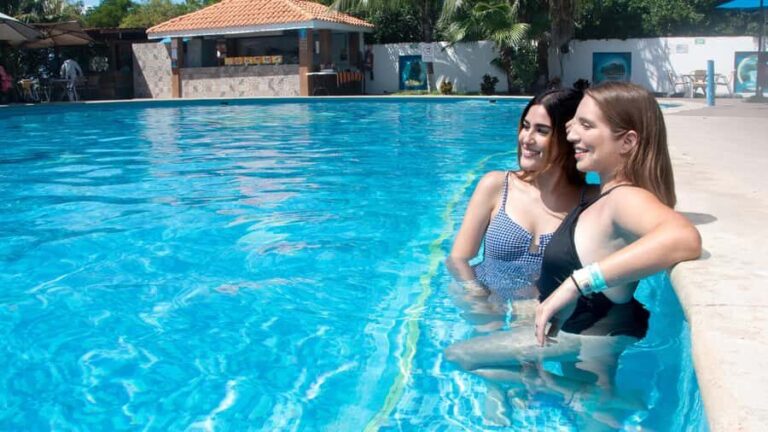 Isla Mujeres Catamaran tour from Cancun - The Snorkeling Experience and Marine Life