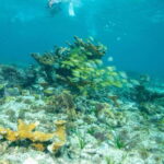 Isla Mujeres: Full Day Private Catamaran with Snorkeling - A Closer Look at the Experience