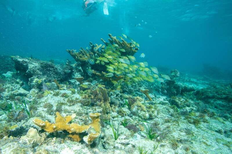 Isla Mujeres: Full Day Private Catamaran with Snorkeling - A Closer Look at the Experience