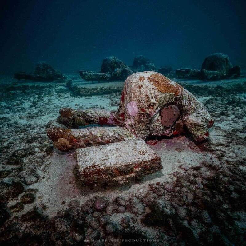 Isla Mujeres: MUSA and the Manchones Reef: 2 Tank Dive Tour - The Itinerary Explained