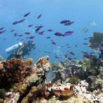 Isla Mujeres: PADI Open Water Diver Course - Why Choose This Course?